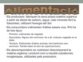 • Els productors: fabriquen la seva pròpia matèria orgànica
a partir de diòxid de carboni, aigua i sals minerals fent la
fotosíntesi, utilitzant l'energia del Sol
• Els consumidors s'alimenten d'altres éssers vius. N'hi ha
de tres tipus:
• Primaris, s'alimenten de vegetals.
• Secundaris. Alguns són omnívors, és a dir, inclouen vegetals en la
dieta.
• Terciaris. S'alimenten d'altres animals, tant herbívors com
carnívors. També reben el nom de supercarnívors.
• Els descomponedors es nodreixen descomponent la
matèria orgànica i produint com a resultat substàncies
inorgàniques, utilitzades pels productors.
 