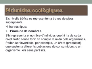Els nivells tròfics es representen a través de pisos
superposats.
Hi ha tres tipus:
1. Piràmide de nombres.
S'hi representa el nombre d'individus que hi ha de cada
nivell tròfic sense tenir en compte la mida dels organismes.
Poden ser invertides; per exemple, un arbre (productor)
que sustenta diferents poblacions de consumidors, o un
organisme i els seus paràsits.
 