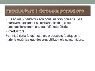 • Els animals herbívors són consumidors primaris, i els
carnívors, secundaris i terciaris, diem que els
consumidors tenim una nutrició heteròtrofa
• Productors
Per mitjà de la fotosíntesi, els productors fabriquen la
matèria orgànica que després utilitzen els consumidors.
 