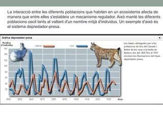 La interacció entre les diferents poblacions que habiten en un ecosistema afecta de
manera que entre elles s'estableix un mecanisme regulador. Això manté les diferents
poblacions oscil·lants al voltant d'un nombre mitjà d'individus. Un exemple d'això és
el sistema depredador-presa.
 