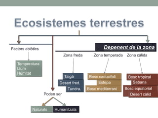 Factors abiòtics Depenent de la zona
Temperatura
Llum
Humitat
Zona freda
Desert fred.
Tundra.
Taigà
Zona temperada
Estepa
Bosc caducifoli
Bosc mediterrani
Zona càlida
Bosc equatorial
Bosc tropical
Sabana
Desert càlidPoden ser
Naturals Humanitzats
 