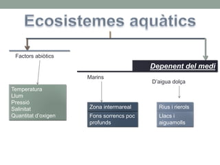 Factors abiòtics
Depenent del medi
Temperatura
Llum
Pressió
Salinitat
Quantitat d’oxigen
Marins
Fons sorrencs poc
profunds
Zona intermareal
D’aigua dolça
Rius i rierols
Llacs i
aiguamolls
 