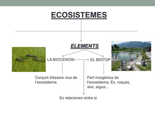 ECOSISTEMES
ELEMENTS
EL BIÒTOPLA BIOCENOSI
Conjunt d'éssers vius de
l’ecosistema.
Part inorgànica de
l’ecosistema. Ex. roques,
aire, aigua...
Es relacionen entre si
 