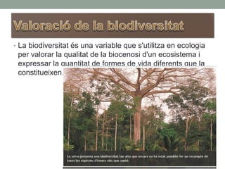 • La biodiversitat és una variable que s'utilitza en ecologia
per valorar la qualitat de la biocenosi d'un ecosistema i
expressar la quantitat de formes de vida diferents que la
constitueixen.
 