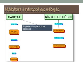 El poden compartir dues
especies
 