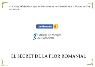 EL SECRET DE LA FLOR ROMANIAL - El COMB amb la Marató de TV3