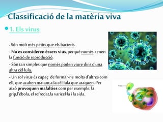 Classificacióde la matèriaviva
1. Els virus:
- Sónmoltméspetitsqueelsbacteris.
-Noes considerenéssersvius,perquènomés tenen
lafunciódereproducció.
-Sóntansimplesquenoméspodenviuredinsd’una
altra cèl·lula.
-Unsolviruséscapaç deformar-ne moltsd’altrescom
ell,queacabenmatanta lacèl·lulaqueataquen.Per
aixòprovoquenmalaltiescomperexemple:la
grip,l’ébola,elrefredat,lavaricel·laila sida.
 