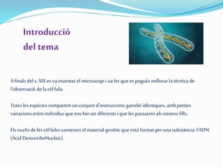 A finals del s. XIX es va inventar el microscopi i va fer que es pogués millorar la tècnica de
l’observació de la cèl·lula.
Totes les espècies compartim un conjunt d’instruccions gairebé idèntiques, amb petites
variacions entre individus que ens fanser diferents i que les passarem als nostres fills.
Els nuclis de les cèl·lules contenen el material genètic que està format per una substància: l’ADN
(Àcid DesoxiriboNucleic).
Introducció
del tema
 
