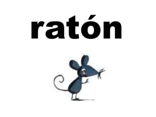 ratón
 