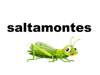 saltamontes
 