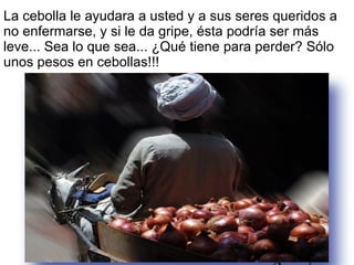 La cebolla le ayudara a usted y a sus seres queridos a no enfermarse, y si le da gripe, ésta podría ser más leve... Sea lo que sea... ¿Qué tiene para perder? Sólo unos pesos en cebollas!!!  