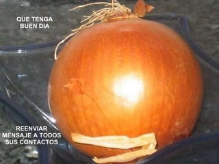 QUE TENGA BUEN DIA REENVIAR MENSAJE A TODOS SUS CONTACTOS 