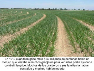 En 1919 cuando la gripe mató a 40 millones de personas había un médico que visitaba a muchos granjeros para ver si los podía ayudar a combatir la gripe. Muchos de los granjeros y sus familias la habían contraído y muchos habían muerto.   muerto. 