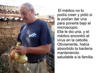 El médico no lo podía creer y pidió si le podían dar una para ponerla bajo el microscopio. Ella le dio una, y el médico encontró el virus en la cebolla. Obviamente, había absorbido la bacteria manteniendo saludable a la familia. 
