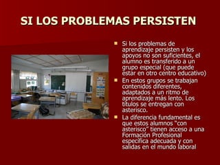 SI LOS PROBLEMAS PERSISTEN  <ul><li>Si los problemas de aprendizaje persisten y los apoyos no son suficientes, el alumno e...