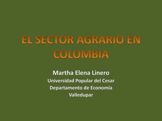 EL SECTOR AGRARIO EN COLOMBIA Martha Elena Linero Universidad Popular del Cesar Departamento de Economía Valledupar 