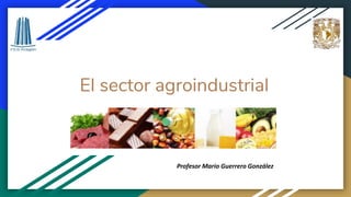El sector agroindustrial
Profesor Mario Guerrero González
 