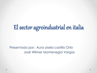 El sector agroindustrial en italia
Presentado por: Aura yisela castillo Ortiz
José Wilmer Montenegro Vargas
 