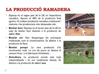 LA PRODUCCIÓ RAMADERA
 Espanya és el segon país de la UE en importància
ramadera. Aporta el 40% de la producció final
agrària. Hi trobem producció ramadera tradicional i
intensiva i les produccions més destacades són:
 Bestiar boví. Espanya és el tercer país de la UE en
caps de bestiar boví destinat a la producció de
carn i llet.
 Bestiar oví. Han desaparegut les pràctiques
tradicionals com la transhumància. Es destina a la
producció de llana.
 Bestiar porquí. La seva producció s’ha
incrementat molt. La cria de porcs es destina al
consum fresc i a la fabricació d’embotits .
 Avicultura. La producció avícola està molt
industrialitzada i té uns rendiments elevats. Es
destina a la producció de carn i ous.
 
