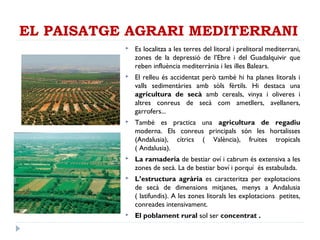 EL PAISATGE AGRARI MEDITERRANI
 Es localitza a les terres del litoral i prelitoral mediterrani,
zones de la depressió de l’Ebre i del Guadalquivir que
reben influència mediterrània i les illes Balears.
 El relleu és accidentat però també hi ha planes litorals i
valls sedimentàries amb sòls fèrtils. Hi destaca una
agricultura de secà amb cereals, vinya i oliveres i
altres conreus de secà com ametllers, avellaners,
garrofers...
 També es practica una agricultura de regadiu
moderna. Els conreus principals són les hortalisses
(Andalusia), cítrics ( València), fruites tropicals
( Andalusia).
 La ramaderia de bestiar oví i cabrum és extensiva a les
zones de secà. La de bestiar boví i porquí és estabulada.
 L’estructura agrària es caracteritza per explotacions
de secà de dimensions mitjanes, menys a Andalusia
( latifundis). A les zones litorals les explotacions petites,
conreades intensivament.
 El poblament rural sol ser concentrat .
 