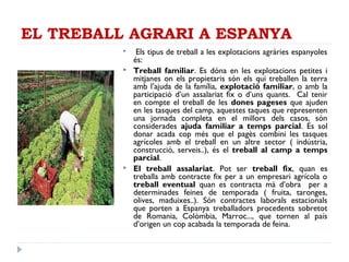 EL TREBALL AGRARI A ESPANYA
 Els tipus de treball a les explotacions agràries espanyoles
és:
 Treball familiar. Es dóna en les explotacions petites i
mitjanes on els propietaris són els qui treballen la terra
amb l’ajuda de la família, explotació familiar, o amb la
participació d’un assalariat fix o d’uns quants. Cal tenir
en compte el treball de les dones pageses que ajuden
en les tasques del camp, aquestes taques que representen
una jornada completa en el millors dels casos, són
considerades ajuda familiar a temps parcial. Es sol
donar acada cop més que el pagès combini les tasques
agrícoles amb el treball en un altre sector ( indústria,
construcció, serveis..), és el treball al camp a temps
parcial.
 El treball assalariat. Pot ser treball fix, quan es
treballa amb contracte fix per a un empresari agrícola o
treball eventual quan es contracta mà d’obra per a
determinades feines de temporada ( fruita, taronges,
olives, maduixes..). Són contractes laborals estacionals
que porten a Espanya treballadors procedents sobretot
de Romania, Colòmbia, Marroc..., que tornen al país
d’origen un cop acabada la temporada de feina.
 