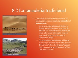 8.2 La ramaderia tradicional
• La ramaderia tradicioanl és extensiva. En
general, respon a dos modles: el nómada i el
tran...