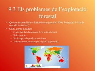 9.3 Els problemes de l’explotació
forestal
• Quema incontrolada = desforestació (des de 1950 s’ha perdut 1/3 de la
superfi...