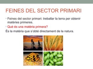 FEINES DEL SECTOR PRIMARI
• Feines del sector primari: treballar la terra per obtenir
matèries primeres.
• Què és una matèria primera?
És la matèria que s’obté directament de la natura.
 