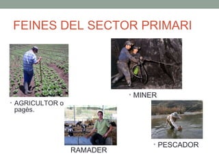 FEINES DEL SECTOR PRIMARI
• AGRICULTOR o
pagès.
RAMADER
• MINER
• PESCADOR
 