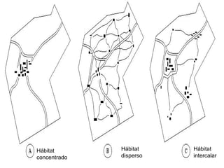 Hábitat concentrado Hábitat disperso Hábitat intercalar 