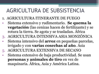 AGRICULTURA DE SUBSISTENCIA 1.  AGRICULTURA ITINERANTE DE FUEGO Sistema extensivo y rudimentario.  Se quema la vegetación  (las cenizas hacen de fertilizante) y se rotura la tierra. Se agota y se trasladan. África AGRICULTURA INTENSIVA ASIA MONZÓNICA Sistema intensivo del  arroz  en pequeñas parcelas, irrigado y con  varias cosechas al año . Asia AGRICULTURA EXTENSIVA DE SECANO Sistema extensivo de baja productividad. Se usan  personas y animales de tiro  en vez de maquinaria. África, Asia y América Latina. 