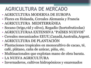AGRICULTURA DE MERCADO AGRICULTURA MODERNA DE EUROPA Flores en Holanda, Cereales Alemania y Francia AGRICULTURA  MEDITERRÁNEA Secano (trigo,vid y olivo), Regadío (hortofrutícolas) AGRICULTURAA EXTENSIVA “PAÍSES NUEVOS” Cereales mecanizados EEUU,Canadá,Australia,Argent. AGRICULTURA DE PLANTACIÓN Plantaciones tropicales en monocultivo de cacao, té, café, plátano, caña de azúcar, piña, etc. Multinacionales que explotan mano de obra barata. LA NUEVA AGRICULTURA Invernaderos, cultivos hidropónicos y enarenados 