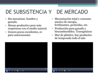 DE SUBSISTENCIA Y  DE MERCADO Sin mecanizar, hombre y ganado.  Menos productiva pero más respetuosa con el medio natural. Genera pocos excedentes, es para autoconsumo Mecanización total y consumo masivo de energía, fertilizantes, pesticidas, etc. Producción para ganado y biocombustibles. Transgénicos Mar de plástico, hay productos de temporada todo el año 