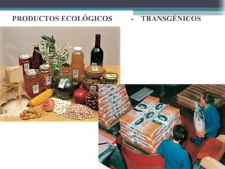 PRODUCTOS ECOLÓGICOS  -  TRANSGÉNICOS 