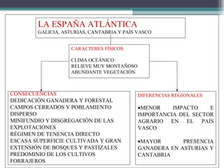 CARACTERES FÍSICOS CLIMA OCEÁNICO RELIEVE MUY MONTAÑOSO ABUNDANTE VEGETACIÓN CONSECUENCIAS DEDICACIÓN GANADERA Y FORESTAL CAMPOS CERRADOS Y POBLAMIENTO DISPERSO MINIFUNDIO Y DISGREGACIÓN DE LAS EXPLOTACIONES RÉGIMEN DE TENENCIA DIRECTO ESCASA SUPERFICIE CULTIVADA Y GRAN EXTENSIÓN DE BOSQUES Y PASTIZALES PREDOMINIO DE LOS CULTIVOS FORRAJEROS LA ESPAÑA ATLÁNTICA GALICIA, ASTURIAS, CANTABRIA Y PAÍS VASCO DIFERENCIAS REGIONALES  MENOR IMPACTO E IMPORTANCIA DEL SECTOR AGRARIO EN EL PAÍS VASCO  MAYOR PRESENCIA GANADERA EN ASTURIAS Y CANTABRIA  
