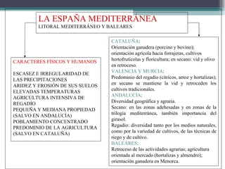 CARACTERES FÍSICOS Y HUMANOS ESCASEZ E IRREGULARIDAD DE LAS PRECIPITACIONES ARIDEZ Y EROSIÓN DE SUS SUELOS ELEVADAS TEMPERATURAS AGRICULTURA INTENSIVA DE REGADÍO PEQUEÑA Y MEDIANA PROPIEDAD (SALVO EN ANDALUCÍA) POBLAMIENTO CONCENTRADO PREDOMINIO DE LA AGRICULTURA (SALVO EN CATALUÑA) LA ESPAÑA MEDITERRÁNEA LITORAL MEDITERRÁNEO Y BALEARES CATALUÑA : Orientación ganadera (porcino y bovino); orientación agrícola hacia forrajeras, cultivos hortofrutícolas y floricultura; en secano: vid y olivo en retroceso. VALENCIA Y MURCIA : Predominio del regadío (cítricos, arroz y hortalizas); en secano se mantiene la vid y retroceden los cultivos tradicionales. ANDALUCÍA : Diversidad geográfica y agraria. Secano: en las zonas adehesadas y en zonas de la trilogía mediterránea, también importancia del girasol. Regadío: diversidad tanto por los medios naturales, como por la variedad de cultivos, de las técnicas de riego y de cultivo. BALEARES : Retroceso de las actividades agrarias; agricultura orientada al mercado (hortalizas y almendro); orientación ganadera en Menorca. 