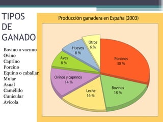 TIPOS DE GANADO Bovino o vacuno Ovino Caprino Porcino Equino o caballar Mular Asnal Camélido Cunicular Avícola 