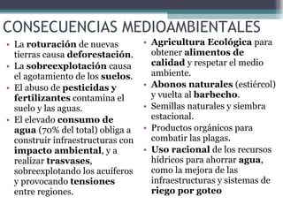 CONSECUENCIAS MEDIOAMBIENTALES La  roturación  de nuevas tierras causa  deforestación . La  sobreexplotación  causa el agotamiento de los  suelos . El abuso de  pesticidas y fertilizantes  contamina el suelo y las aguas. El elevado  consumo de agua  (70% del total) obliga a construir infraestructuras con  impacto ambiental , y a realizar  trasvases , sobreexplotando los acuíferos y provocando  tensiones  entre regiones. Agricultura Ecológica  para obtener  alimentos de calidad  y respetar el medio ambiente. Abonos naturales  (estiércol) y vuelta al  barbecho . Semillas naturales y siembra estacional. Productos orgánicos para combatir las plagas. Uso racional  de los recursos hídricos para ahorrar  agua , como la mejora de las infraestructuras y sistemas de  riego por goteo 
