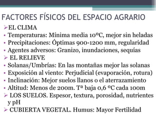 FACTORES FÍSICOS DEL ESPACIO AGRARIO EL CLIMA Temperaturas: Mínima media 10ºC, mejor sin heladas Precipitaciones: Óptimas 900-1200 mm, regularidad Agentes adversos: Granizo, inundaciones, sequías EL RELIEVE Solanas/Umbrías: En las montañas mejor las solanas Exposición al viento: Perjudicial (evaporación, rotura) Inclinación: Mejor suelos llanos o el aterrazamiento Altitud: Menos de 200m. Tª baja 0,6 ºC cada 100m LOS SUELOS. Espesor, textura, porosidad, nutrientes y pH CUBIERTA VEGETAL. Humus: Mayor Fertilidad  