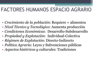 FACTORES HUMANOS ESPACIO AGRARIO Crecimiento de la población : Requiere + alimentos Nivel Técnico y Tecnológico : Aumenta producción Condiciones Económicas :  Desarrollo-Subdesarrollo Propiedad y Explotación :  Individual-Colectiva Régimen de Explotación : Directo-Indirecto Política Agraria : Leyes y Subvenciones públicas Aspectos históricos y culturales : Tradiciones  