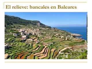 El relieve: bancales en Baleares
 
