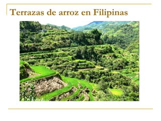Terrazas de arroz en Filipinas
 