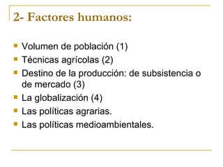 2- Factores humanos:

   Volumen de población (1)
   Técnicas agrícolas (2)
   Destino de la producción: de subsistencia o
    de mercado (3)
   La globalización (4)
   Las políticas agrarias.
   Las políticas medioambientales.
 
