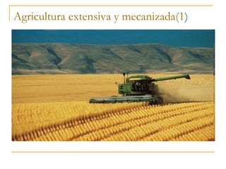 Agricultura extensiva y mecanizada(1)
 