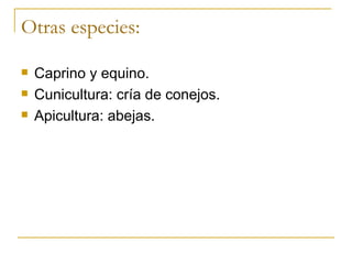 Otras especies:

   Caprino y equino.
   Cunicultura: cría de conejos.
   Apicultura: abejas.
 