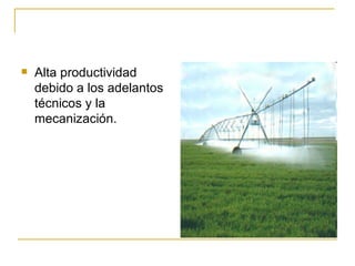    Alta productividad
    debido a los adelantos
    técnicos y la
    mecanización.
 