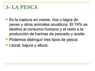 3- LA PESCA

   Es la captura en mares, ríos o lagos de
    peces y otros animales acuáticos. El 74% se
    destina al consumo humano y el resto a la
    producción de harinas de pescado y aceite.
   Podemos distinguir tres tipos de pesca:
   Litoral, bajura y altura.
 