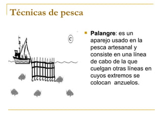 Técnicas de pesca
                       Palangre: es un
                        Palangre
                        aparejo usado en la
                        pesca artesanal y
                        consiste en una línea
                        de cabo de la que
                        cuelgan otras líneas en
                        cuyos extremos se
                        colocan anzuelos.
 