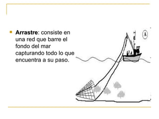    Arrastre: consiste en
    Arrastre
    una red que barre el
    fondo del mar
    capturando todo lo que
    encuentra a su paso.
 