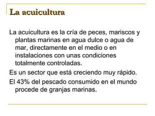 La acuicultura

La acuicultura es la cría de peces, mariscos y
  plantas marinas en agua dulce o agua de
  mar, directamente en el medio o en
  instalaciones con unas condiciones
  totalmente controladas.
Es un sector que está creciendo muy rápido.
El 43% del pescado consumido en el mundo
  procede de granjas marinas.
 